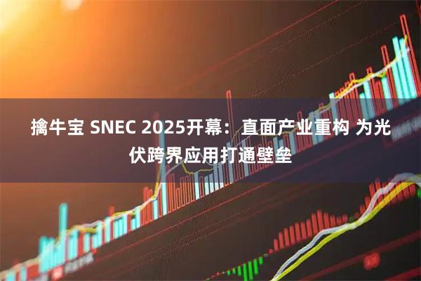 擒牛宝 SNEC 2025开幕：直面产业重构 为光伏跨界应用打通壁垒