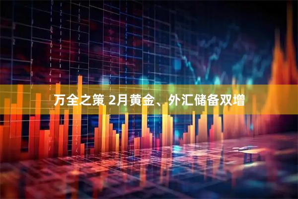 万全之策 2月黄金、外汇储备双增